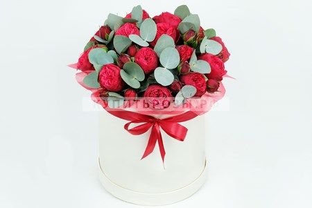 Розы в коробке Превосходство купить в Москве недорого
